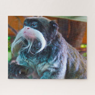 Macaco Imperador Tamarins. Quebra-cabeça