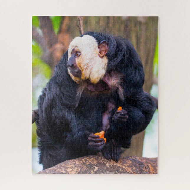 Macaco Saki de Cara Branca. Quebra-Cabeça (Vertical)
