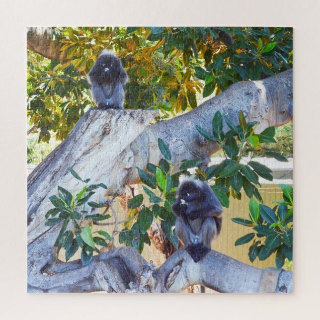 Macacos Black Langur Comendo, Quebra-cabeça (Vertical)