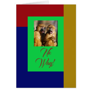 Macacos Chocados, Cartão Vermelho, Azul, Verde e D