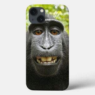 Macaque de sorriso