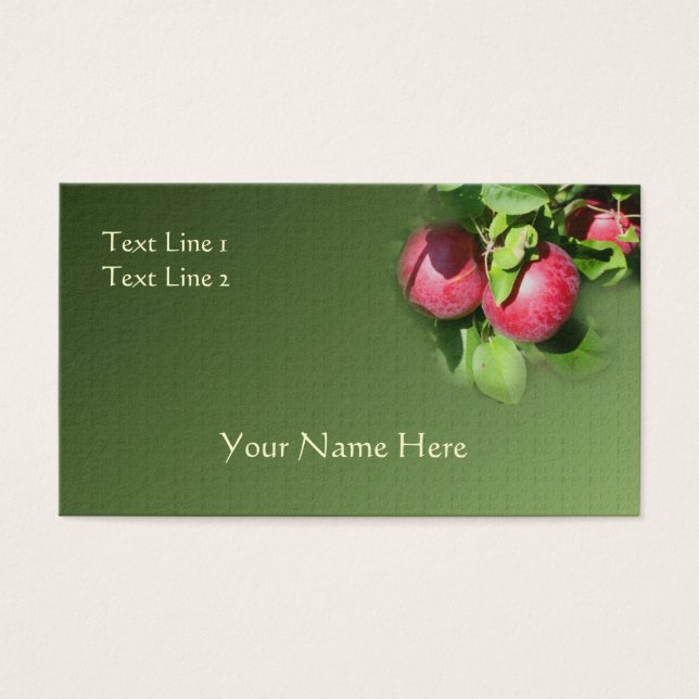 Maçãs McIntosh Vermelhas Na Natureza Da Árvore (Frente)