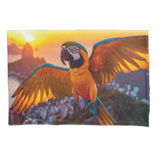 Macaw