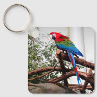 Macaw de asa verde #3 Chaveiro