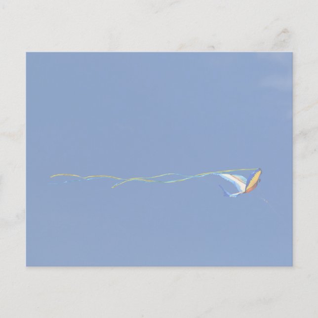 Macaw Kite (Frente)