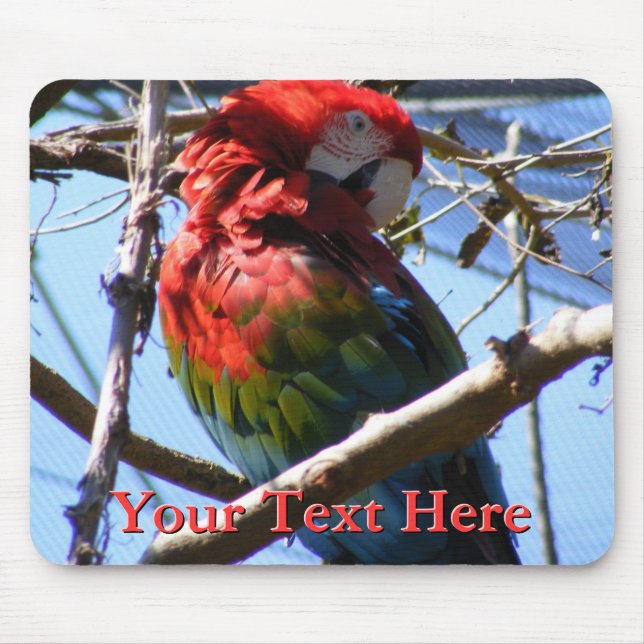 Macaw Mousepad (Frente)