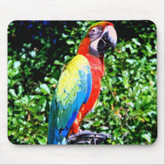 Macaw Mousepad