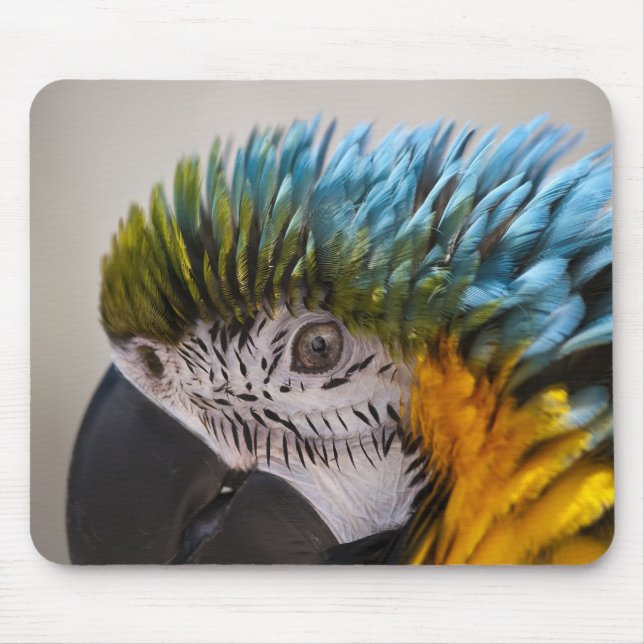 Macaw Parrot - Mousepad (Frente)