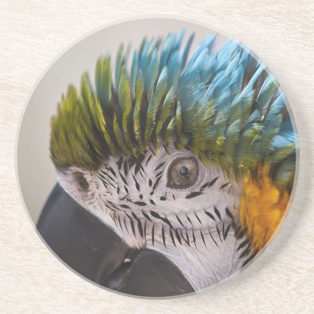 Macaw Parrot - Porta copos (Frente)