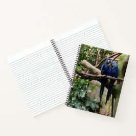 Macaw Parrot Spiral Notebook