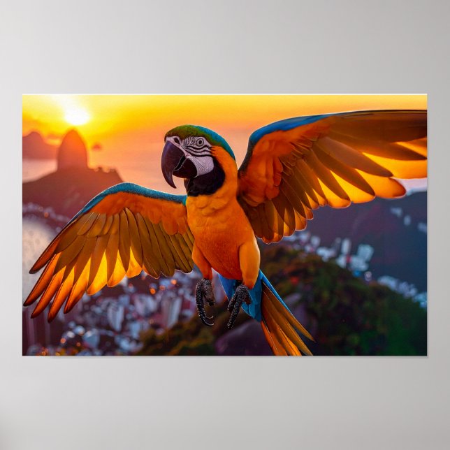 Macaw sobre a poster horizontal do Rio de Janeiro (Frente)