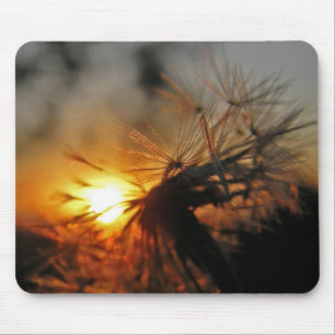 Macro Dandelion Sunset Mousepad