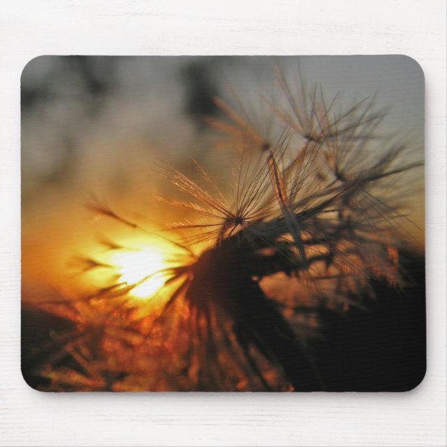 Macro Dandelion Sunset Mousepad (Frente)