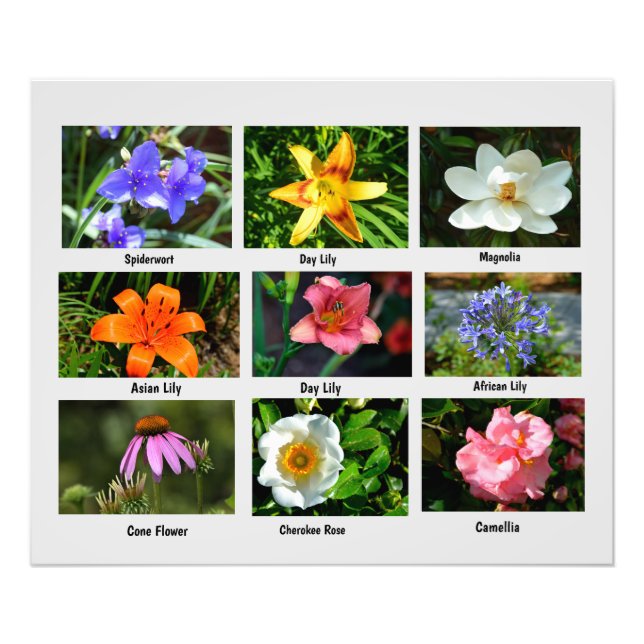 Macro-flores Foto Alargamento (Frente)