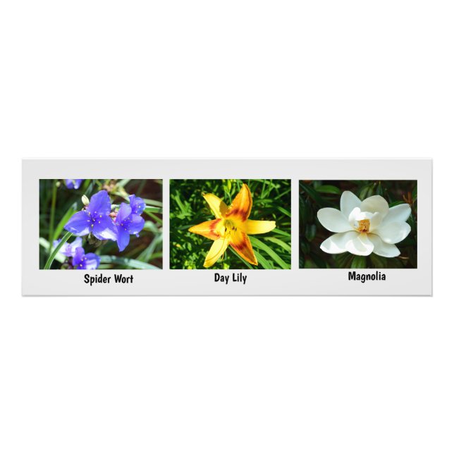 Macro-flores Foto Alargamento (Frente)