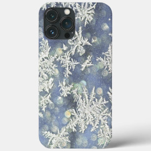 Macro Nature Fotografia Frost on Blue Metal