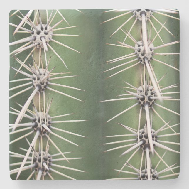 Macro Saguaro Cactus,Arizona, porta copos de pedra (Frente)