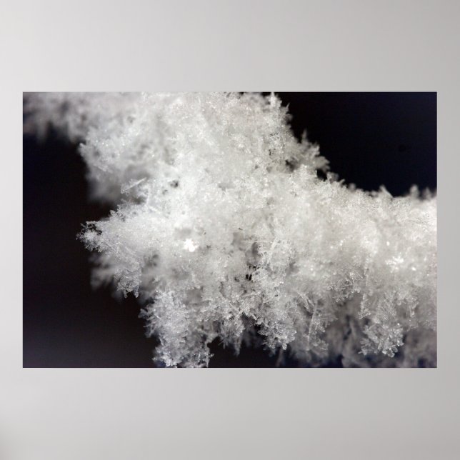 Macro Snowflake Poster (Frente)