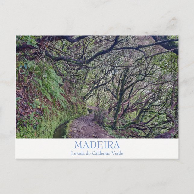 Madeira - Cartão postal Caldeirao Verde com texto (Frente)