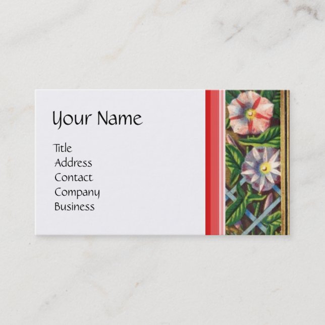 MADEIRA DE MANHÃ, CARTÃO DE GARÇAS, DOMÉSTICO, JAR (Frente)