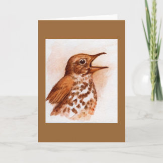 Madeira Thrush - Cartão de Nota de Pássaro