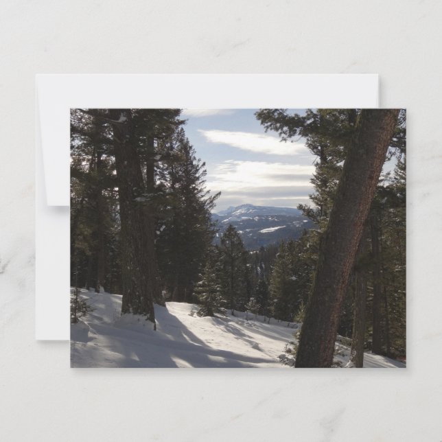 Madison Mountain em inverno em Montana (Frente)