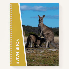 Mãe Canguru e Bebê na Austrália, Dourado