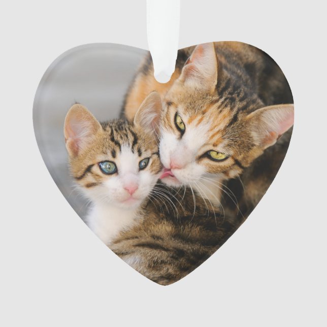 Mãe Cat ama ornamento acrílico de Kitten Gelado (Frente)