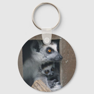 Mãe de Lemur e chaveiro bebê