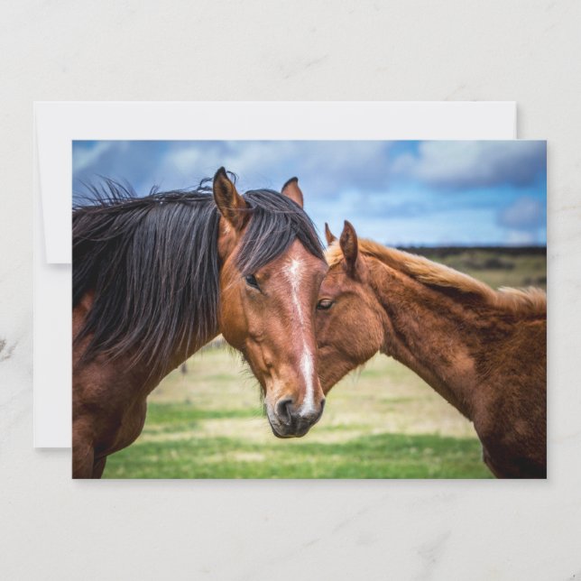 Mãe e filho (Frente)