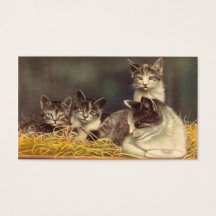Mãe Gato e Gatinhos