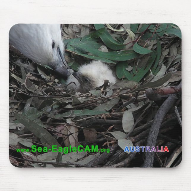 Mãe que alimenta S2 Mousepad horizontal (Frente)