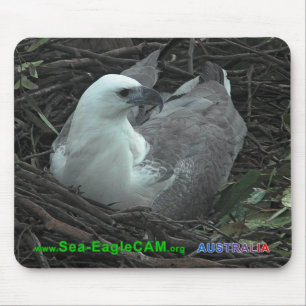 Mãe que senta-se em 2 ovos Mousepad 2013