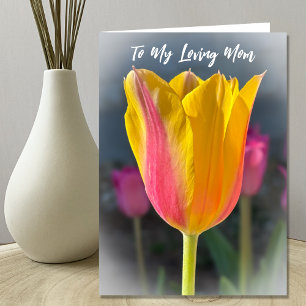 Mãe, Tulip, Cartão de Saudação de Aniversário
