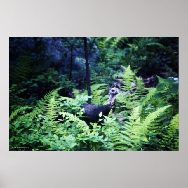 Mãe Turquia em Ferns Poster (Frente)