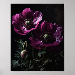 Magenta Anemone Flowe Impressão