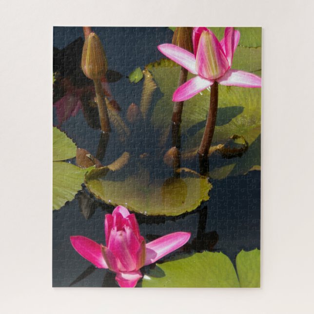 Magenta Waterlily Quebra-cabeça (Vertical)
