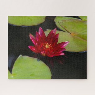 Magenta Waterlily Quebra-cabeça