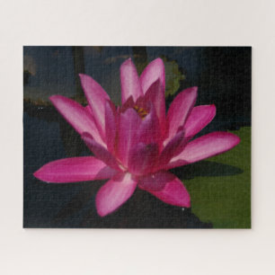 Magenta Waterlily Quebra-cabeça