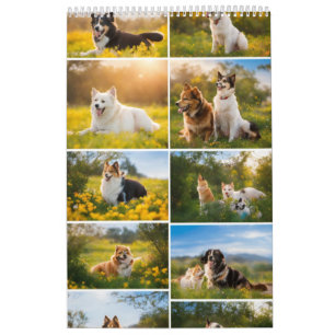 "Magia de Amizade: Calendário de Foto"