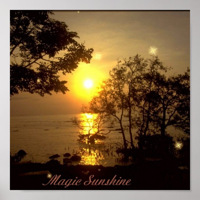 Magic Sunshine Poster (Frente)