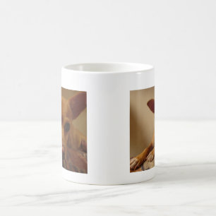 Mágica A caneca II de Bubba