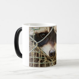 MÁGICA CANECA DE MORFING DE GUAXINIM