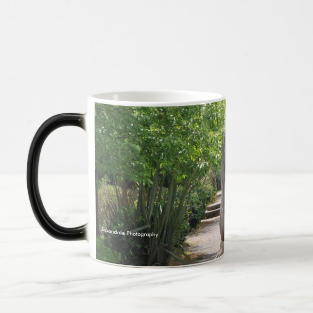 Mágica Caneca do "milênio" (Esquerda)