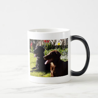 Mágica Caneca do Retriever de Flatcoated