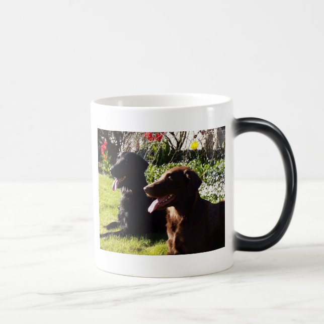 Mágica Caneca do Retriever de Flatcoated (Direita)