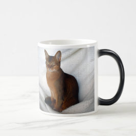 Mágica Caneca fêmea corado Abyssinian do gato