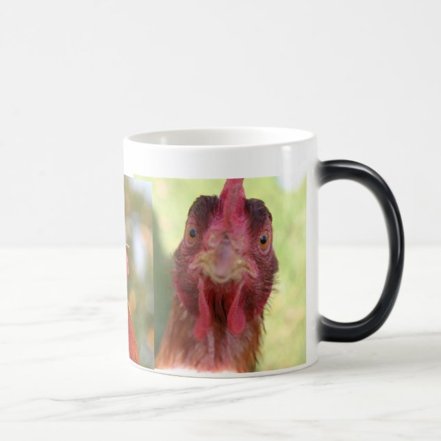 MÁGICA CANECA MORPHING DO PÁSSARO ENGRAÇADO (Direita)