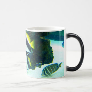 Mágica Caneca Morphing dos peixes 14