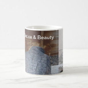 Mágica Dot.ca & caneca da beleza